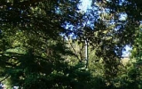 1384 Se Bouldercrest Road Atlanta, GA 30316 - Image 6303976