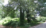 1046 Regent Street Sw Atlanta, GA 30310 - Image 6460078