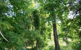 1208 Memorial Drive Atlanta, GA 30316 - Image 7734432