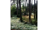 2165 Pine Forest Drive Atlanta, GA 30345 - Image 7913486