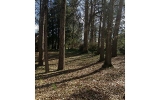 1884 W Virginia Avenue Atlanta, GA 30337 - Image 9055614