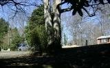 2449 Drew Valley Road Ne Atlanta, GA 30319 - Image 9701983