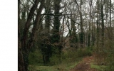 2465 Rockcliff Road Se Atlanta, GA 30316 - Image 9995457