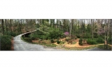 6487 Cherry Tree Lane Atlanta, GA 30328 - Image 11489012