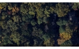 5730 Pine Brook Road Atlanta, GA 30328 - Image 13135307