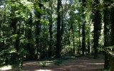 438 Hilderbrand Drive Atlanta, GA 30328 - Image 13384507