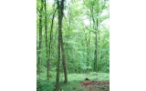 5000 Riverview Road Atlanta, GA 30327 - Image 14018247