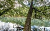 7315 Chattahoochee Bluff Drive Atlanta, GA 30350 - Image 15153116