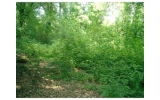 1012 Custer Avenue Se Atlanta, GA 30316 - Image 17387439